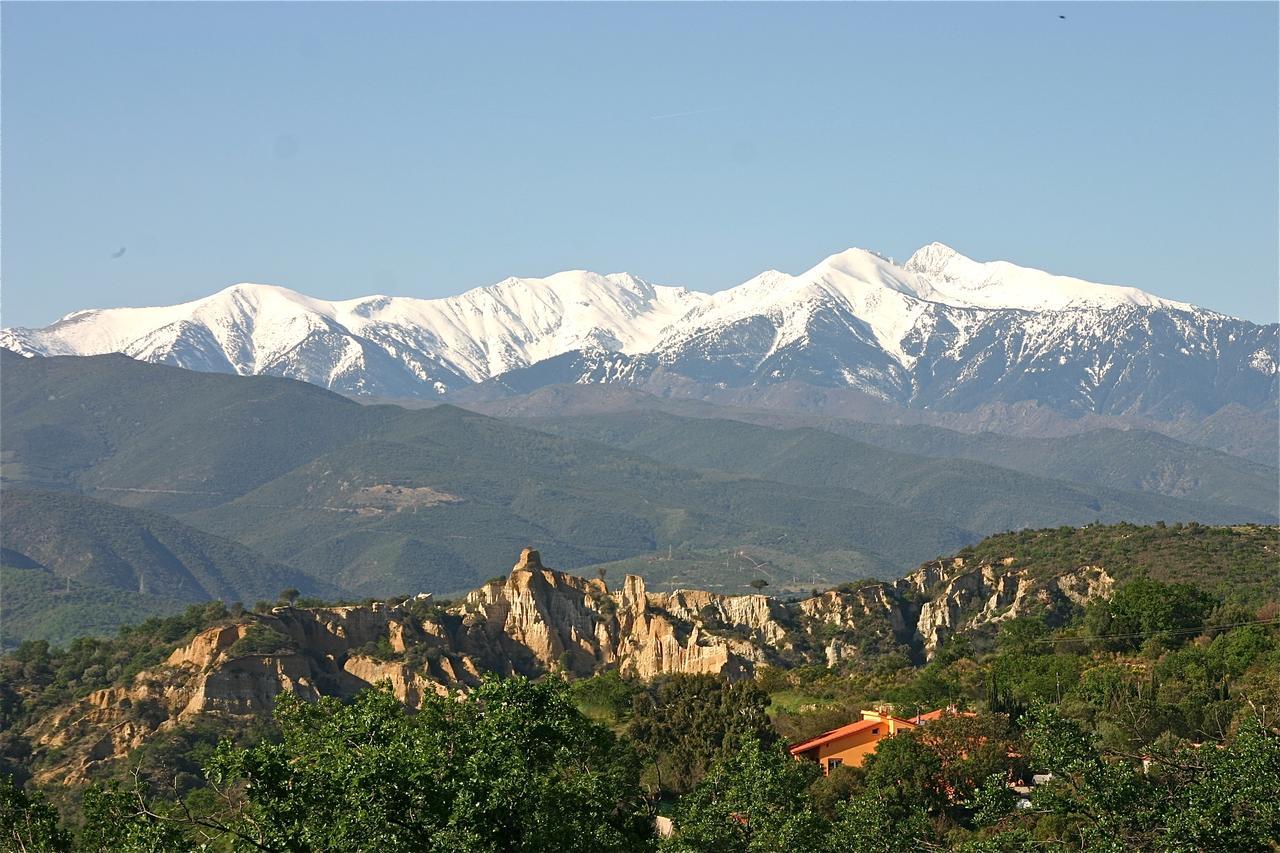 Gite Des Orgues De La Sybille Agave Canigou Exteriér fotografie