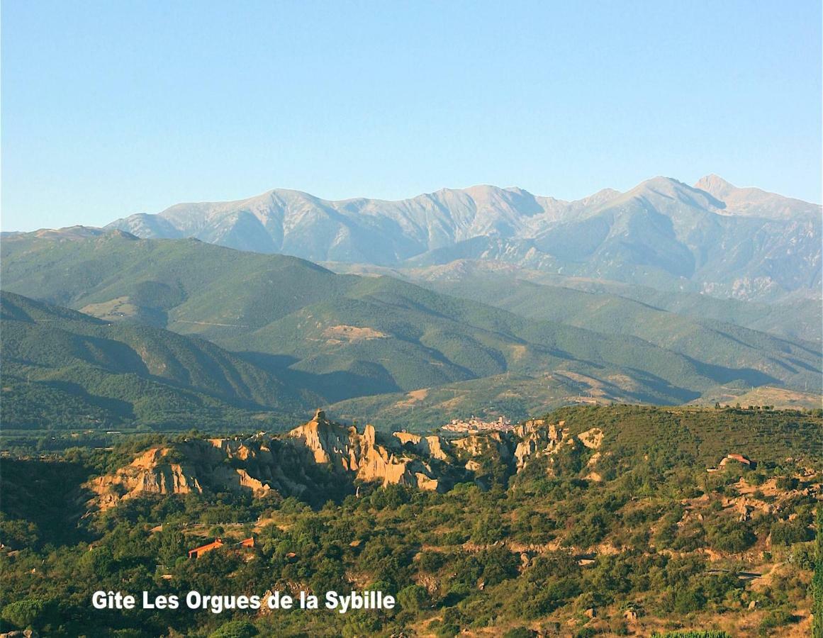Gite Des Orgues De La Sybille Agave Canigou Exteriér fotografie